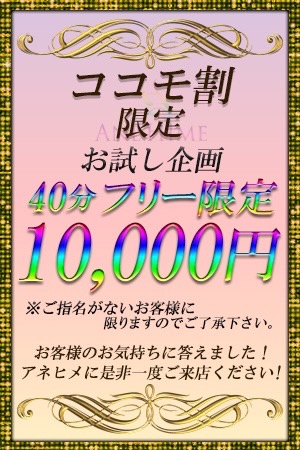 茨城県の風俗【AneHime-アネヒメ-】激安1万円コース